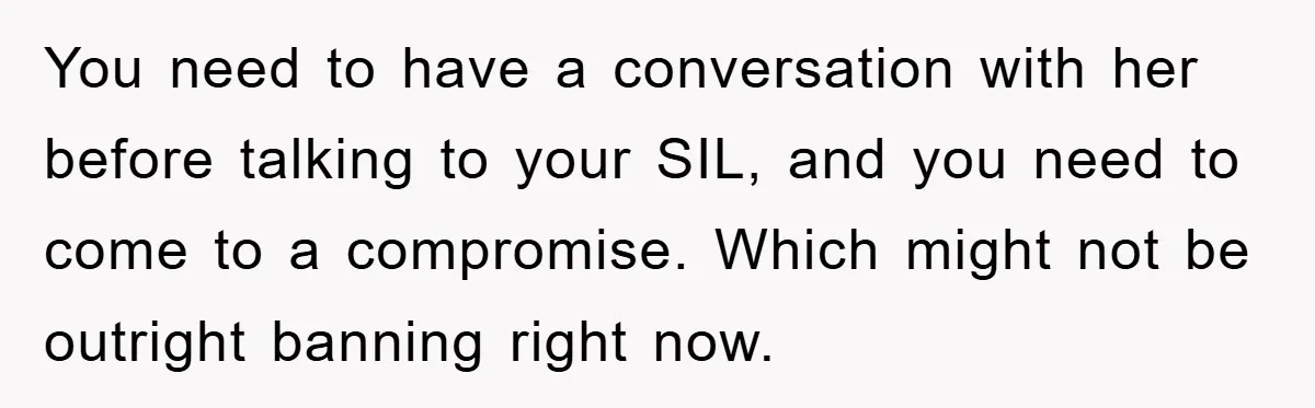 You need to have a conversation with her before talking to your SIL, and you need to come to a compromise. Which might not be outright banning right now.