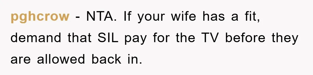 pghcrow − NTA. If your wife has a fit, demand that SIL pay for the TV before they are allowed back in.