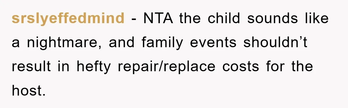srslyeffedmind − NTA the child sounds like a nightmare, and family events shouldn’t result in hefty repair/replace costs for the host.