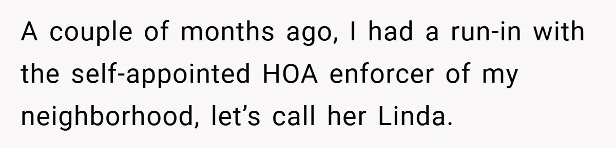 A couple of months ago, I had a run-in with the self-appointed HOA enforcer of my neighborhood, let’s call her Linda.