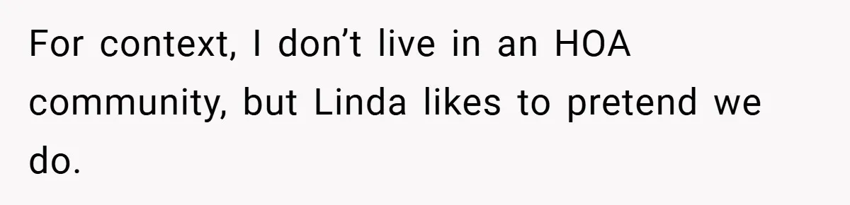 For context, I don’t live in an HOA community, but Linda likes to pretend we do.