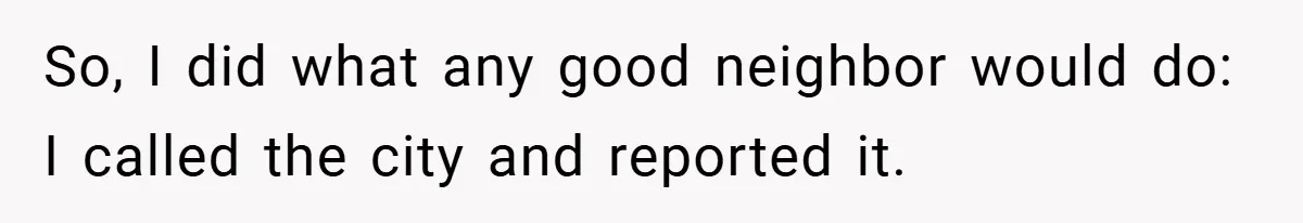 So, I did what any good neighbor would do: I called the city and reported it.