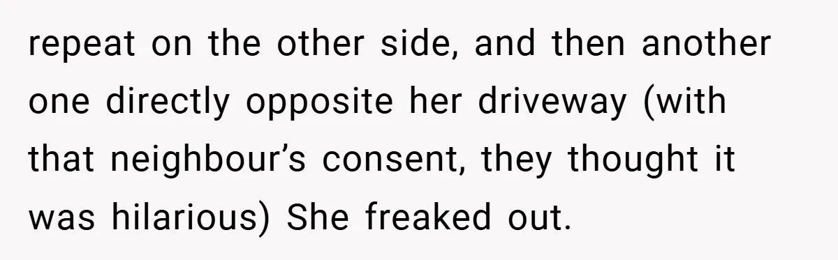 repeat on the other side, and then another one directly opposite her driveway (with that neighbour’s consent, they thought it was hilarious) She freaked out.