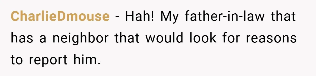 CharlieDmouse − Hah! My father-in-law that has a neighbor that would look for reasons to report him.