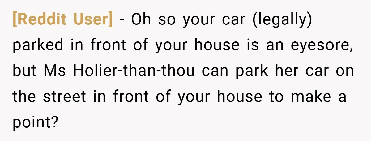 [Reddit User] − Oh so your car (legally) parked in front of your house is an eyesore, but Ms Holier-than-thou can park her car on the street in front of...