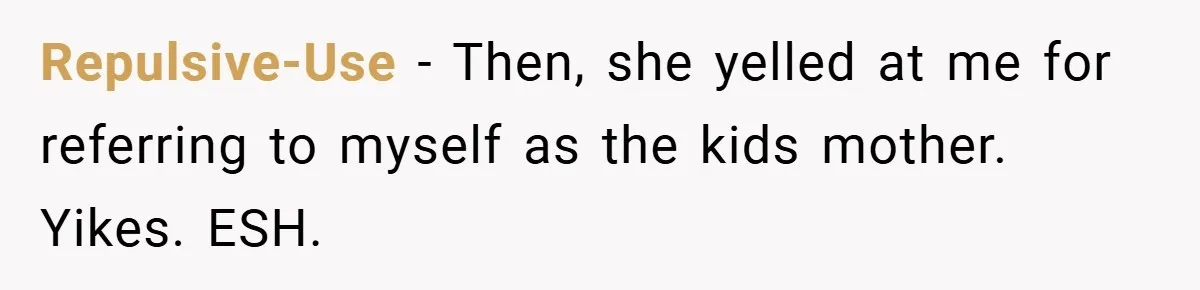 She Replaced Her Husband’s Late Wife’s Photo - Then All Hell Broke Loose When the Grieving Mother Found Out Repulsive-Use − Then, she yelled at me for referring to myself as the kids mother. Yikes. ESH.