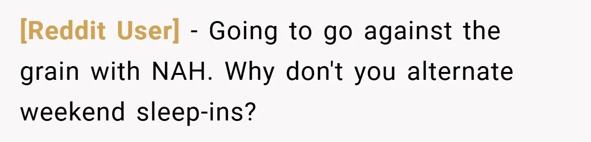 [Reddit User] − Going to go against the grain with NAH. Why don't you alternate weekend sleep-ins?