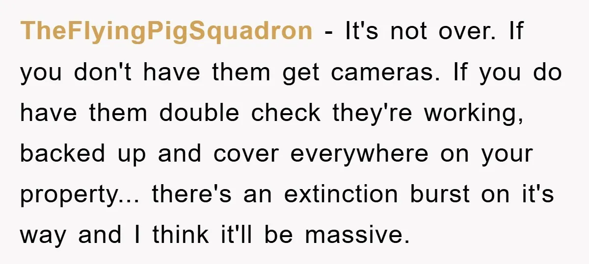 TheFlyingPigSquadron - It's not over. If you don't have them get cameras. If you do have them double check they're working, backed up and cover everywhere on your property... there's...