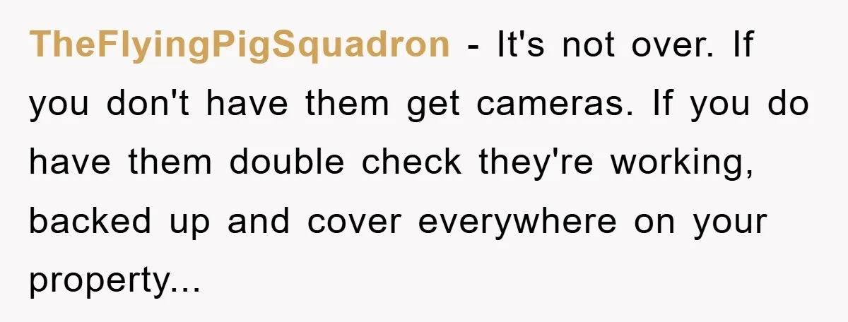 TheFlyingPigSquadron - It's not over. If you don't have them get cameras. If you do have them double check they're working, backed up and cover everywhere on your property...