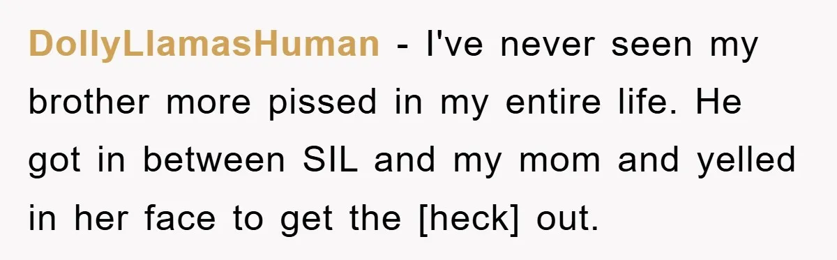 DollyLlamasHuman − I've never seen my brother more pissed in my entire life. He got in between SIL and my mom and yelled in her face to get the [heck]...
