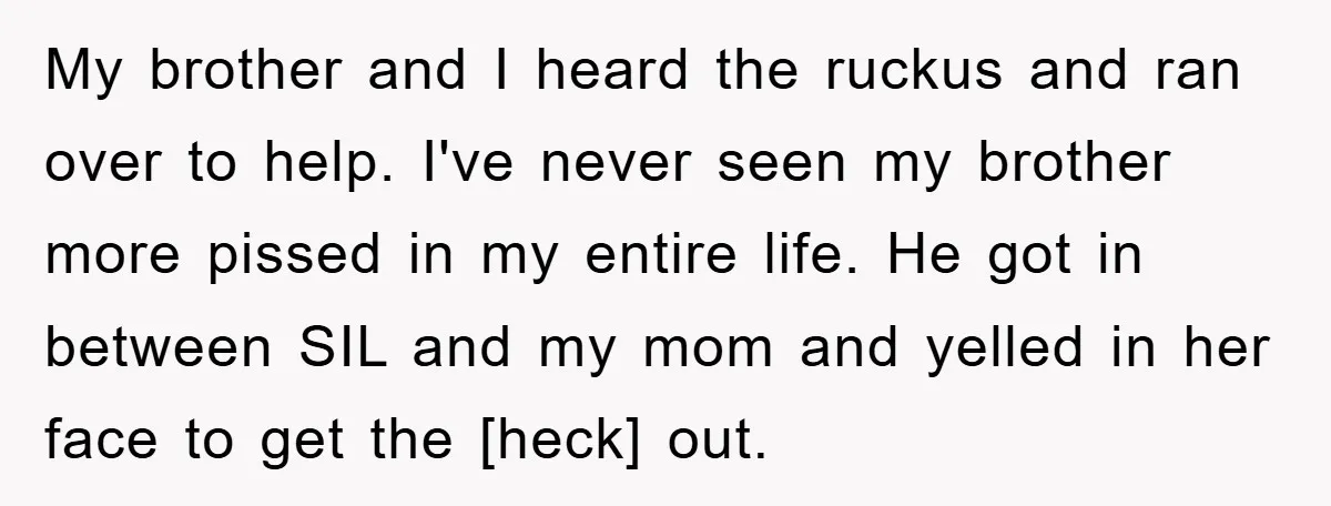 My brother and I heard the ruckus and ran over to help. I've never seen my brother more pissed in my entire life. He got in between SIL and my...
