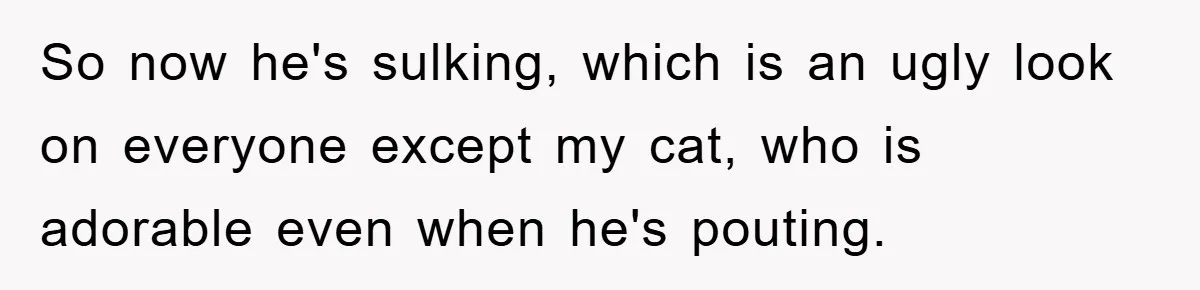 When Personal Hygiene Becomes A Relationship Dealbreaker, This Couple’s Shower Debate Went Viral So now he's sulking, which is an ugly look on everyone except my cat, who is adorable even when he's pouting.