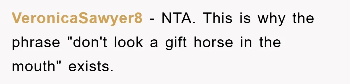 VeronicaSawyer8 − NTA. This is why the phrase "don't look a gift horse in the mouth" exists.