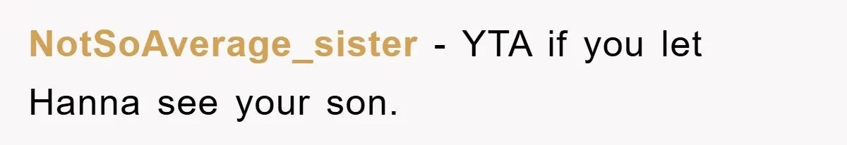 NotSoAverage_sister − YTA if you let Hanna see your son.