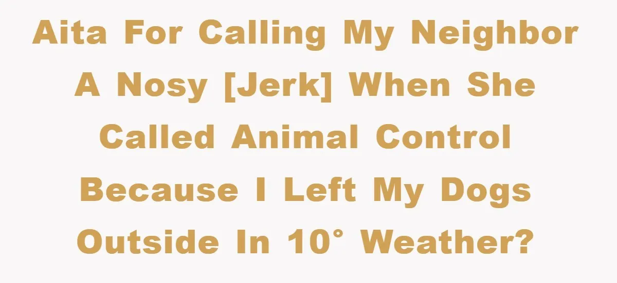 AITA for calling my neighbor a nosy [jerk] when she called animal control because I left my dogs outside in 10° weather?