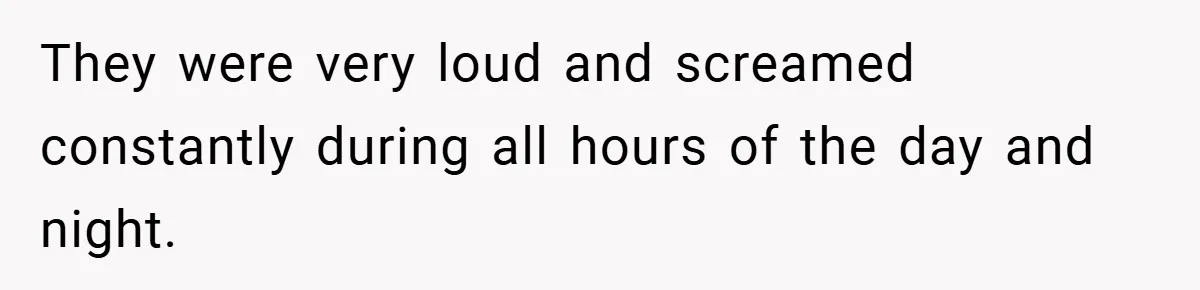 They were very loud and screamed constantly during all hours of the day and night.