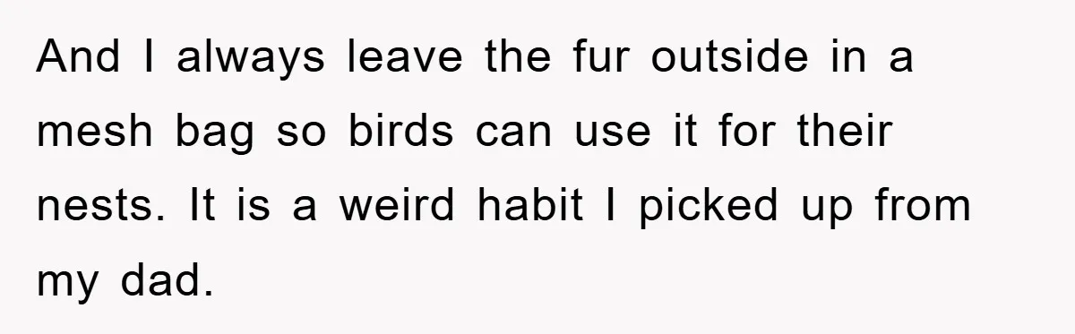 And I always leave the fur outside in a mesh bag so birds can use it for their nests. It is a weird habit I picked up from my dad.
