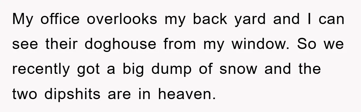 My office overlooks my back yard and I can see their doghouse from my window. So we recently got a big dump of snow and the two dipshits are in...