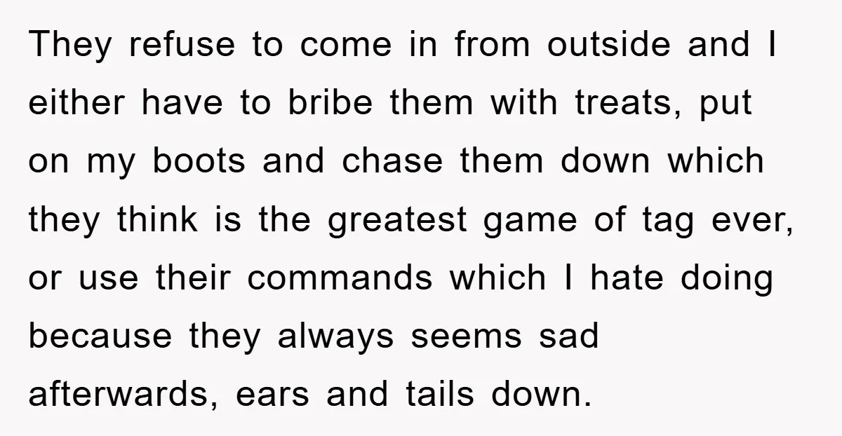 They refuse to come in from outside and I either have to bribe them with treats, put on my boots and chase them down which they think is the greatest...