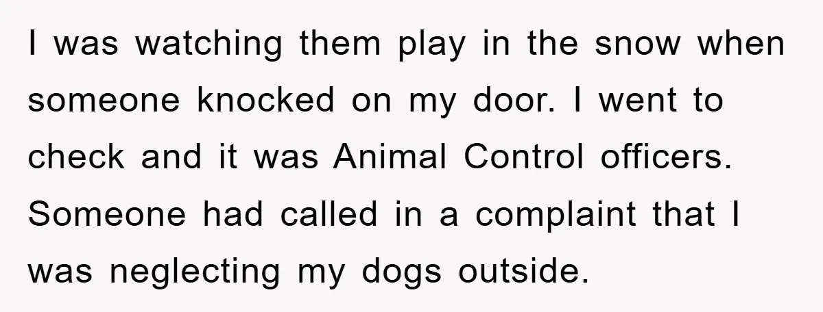 I was watching them play in the snow when someone knocked on my door. I went to check and it was Animal Control officers. Someone had called in a complaint...