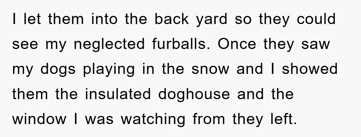 I let them into the back yard so they could see my neglected furballs. Once they saw my dogs playing in the snow and I showed them the insulated doghouse...