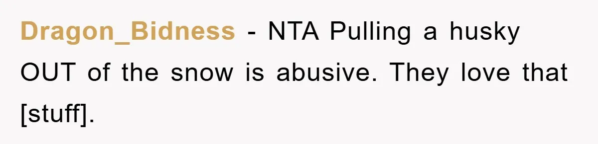 Dragon_Bidness − NTA Pulling a husky OUT of the snow is abusive. They love that [stuff].