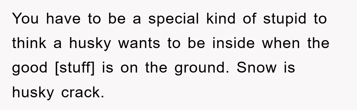 You have to be a special kind of stupid to think a husky wants to be inside when the good [stuff] is on the ground. Snow is husky crack.