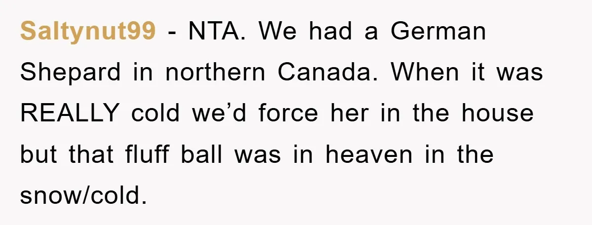 Saltynut99 − NTA. We had a German Shepard in northern Canada. When it was REALLY cold we’d force her in the house but that fluff ball was in heaven in...