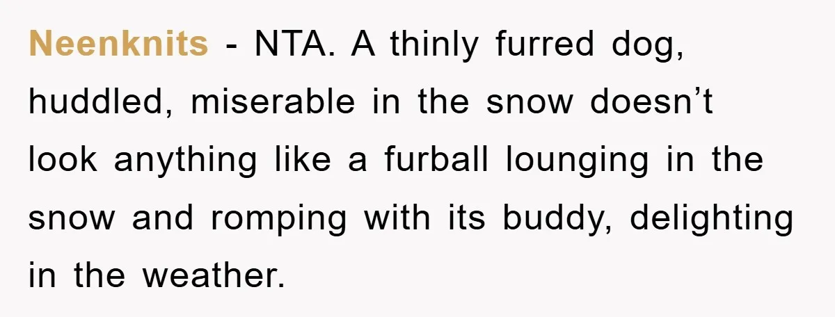 Neenknits − NTA. A thinly furred dog, huddled, miserable in the snow doesn’t look anything like a furball lounging in the snow and romping with its buddy, delighting in the...