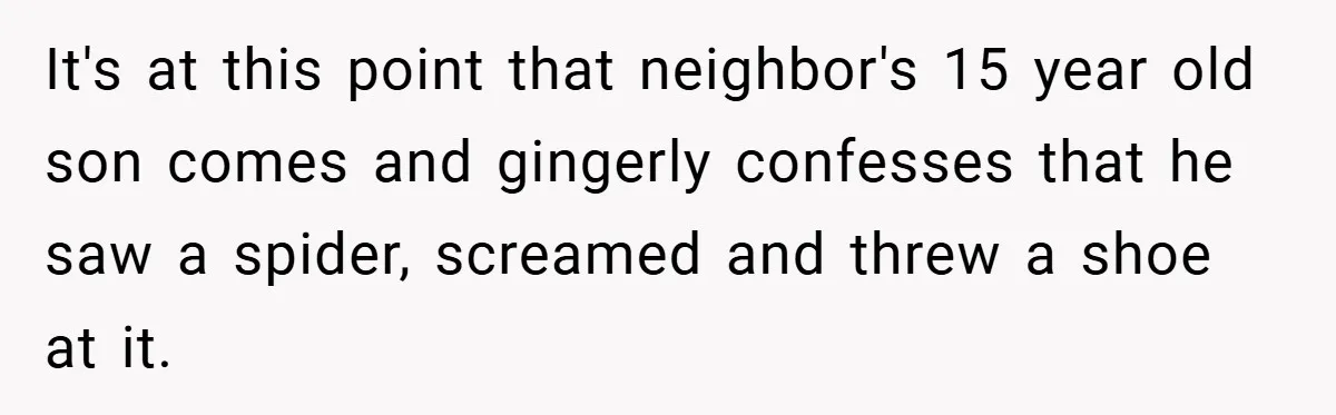 It's at this point that neighbor's 15 year old son comes and gingerly confesses that he saw a spider, screamed and threw a shoe at it.