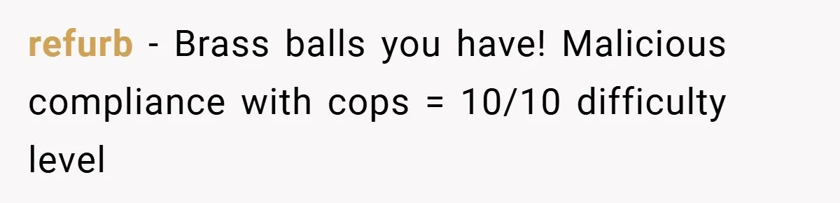 refurb − Brass balls you have! Malicious compliance with cops = 10/10 difficulty level