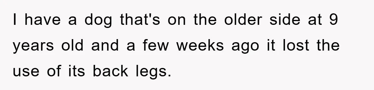 I have a dog that's on the older side at 9 years old and a few weeks ago it lost the use of its back legs.