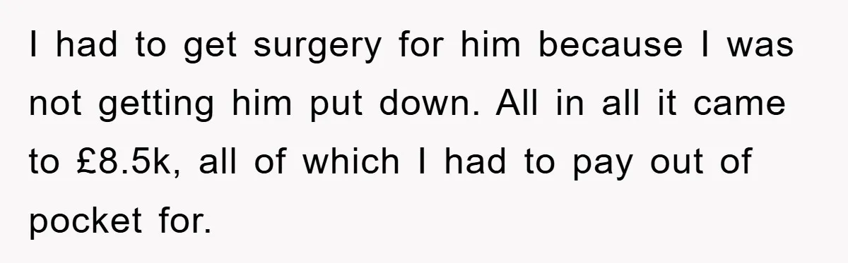 I had to get surgery for him because I was not getting him put down. All in all it came to £8.5k, all of which I had to pay out...