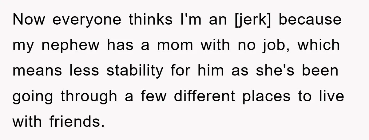 Now everyone thinks I'm an [jerk] because my nephew has a mom with no job, which means less stability for him as she's been going through a few different places...