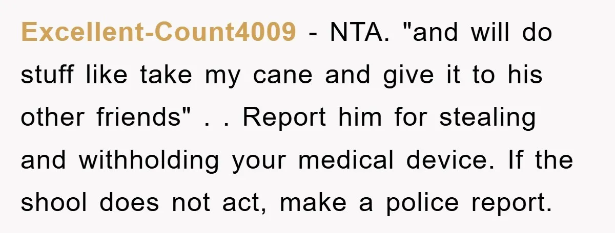 Excellent-Count4009 - NTA. "and will do stuff like take my cane and give it to his other friends" . . Report him for stealing and withholding your medical device. If...