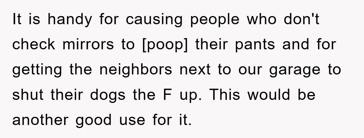 It is handy for causing people who don't check mirrors to [poop] their pants and for getting the neighbors next to our garage to shut their dogs the F up....