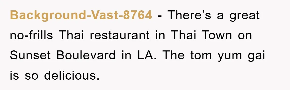 Background-Vast-8764 - There’s a great no-frills Thai restaurant in Thai Town on Sunset Boulevard in LA. The tom yum gai is so delicious.
