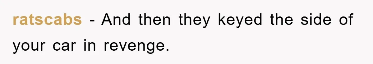 ratscabs - And then they keyed the side of your car in revenge.