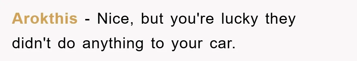 Arokthis - Nice, but you're lucky they didn't do anything to your car.