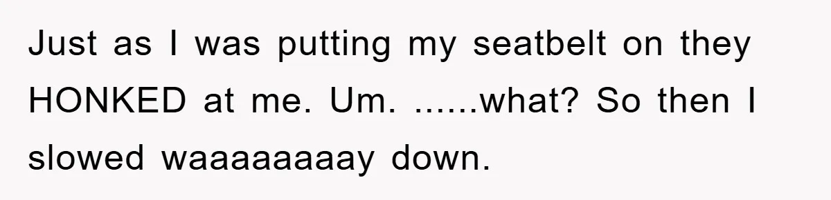 Just as I was putting my seatbelt on they HONKED at me. Um. ......what? So then I slowed waaaaaaaay down.