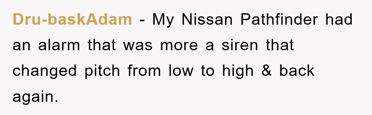 Dru-baskAdam - My Nissan Pathfinder had an alarm that was more a siren that changed pitch from low to high & back again.