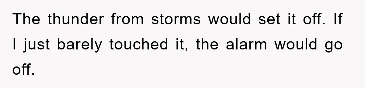 The thunder from storms would set it off. If I just barely touched it, the alarm would go off.