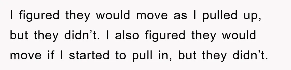 I figured they would move as I pulled up, but they didn’t. I also figured they would move if I started to pull in, but they didn’t.