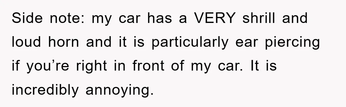 Side note: my car has a VERY shrill and loud horn and it is particularly ear piercing if you’re right in front of my car. It is incredibly annoying.