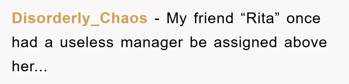 Disorderly_Chaos − My friend “Rita” once had a useless manager be assigned above her...