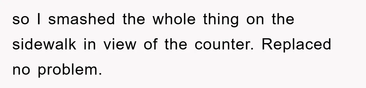 so I smashed the whole thing on the sidewalk in view of the counter. Replaced no problem.