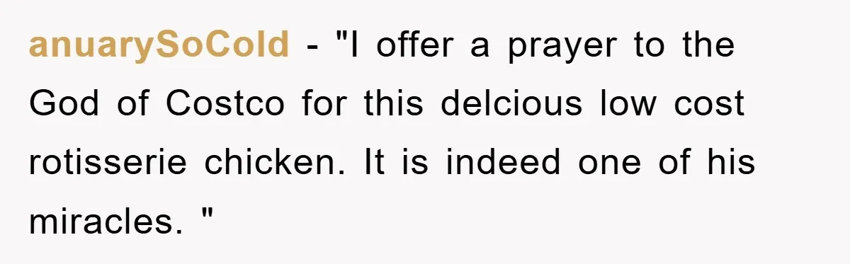 anuarySoCold − "I offer a prayer to the God of Costco for this delcious low cost rotisserie chicken. It is indeed one of his miracles. "