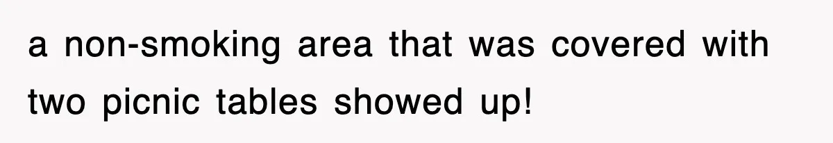 a non-smoking area that was covered with two picnic tables showed up!
