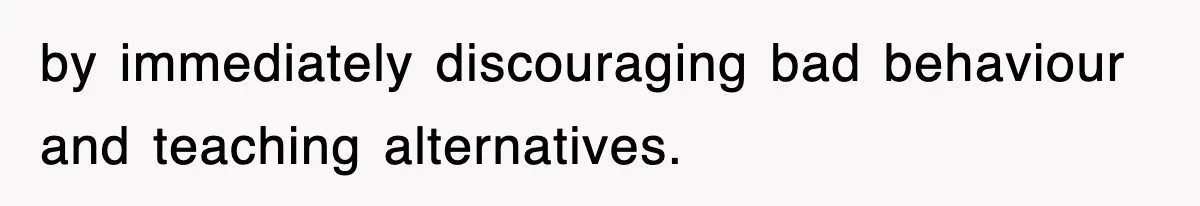 Entitled Parents Let Their Kid Scream At 4 A.M., So Guest Took The Turkey And Left by immediately discouraging bad behaviour and teaching alternatives.
