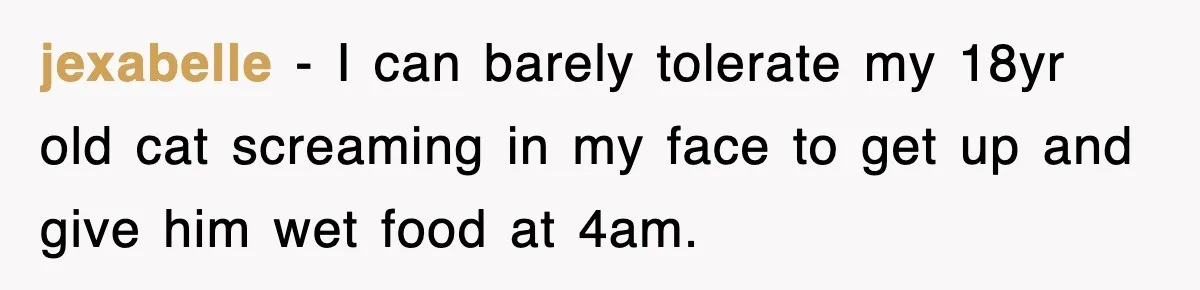 Entitled Parents Let Their Kid Scream At 4 A.M., So Guest Took The Turkey And Left jexabelle − I can barely tolerate my 18yr old cat screaming in my face to get up and give him wet food at 4am.